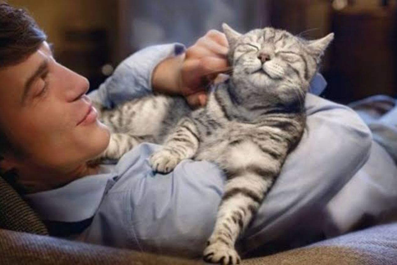 Qué dice la psicología sobre las personas que hablan con sus gatos todos los días.