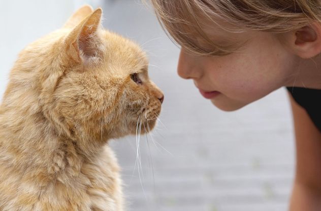 Qué dice la psicología sobre las personas que hablan con sus gatos todos los días.