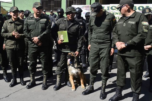 Rex, el perro vagabundo que fue nombrado oficial en Bolivia