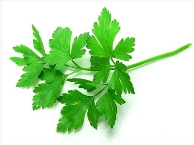 Ni albahaca ni cilantro: las aromáticas ideales para cultivar durante el invierno.