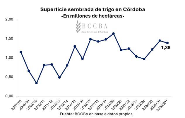 Spuerficie de trigo sembrada en Córdoba.