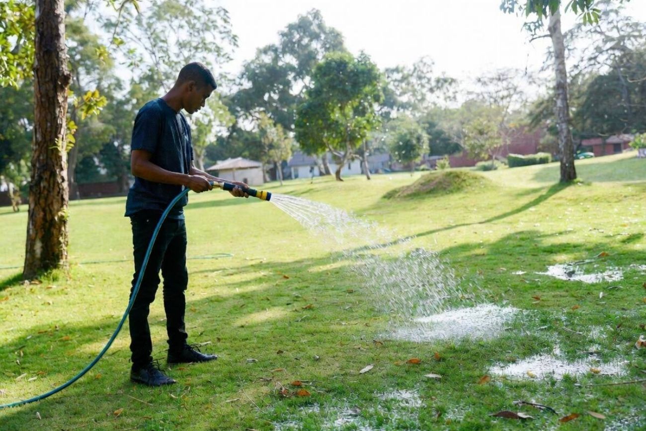 Qué es el césped líquido y por qué cada vez más argentinos lo eligen para sus jardines.
