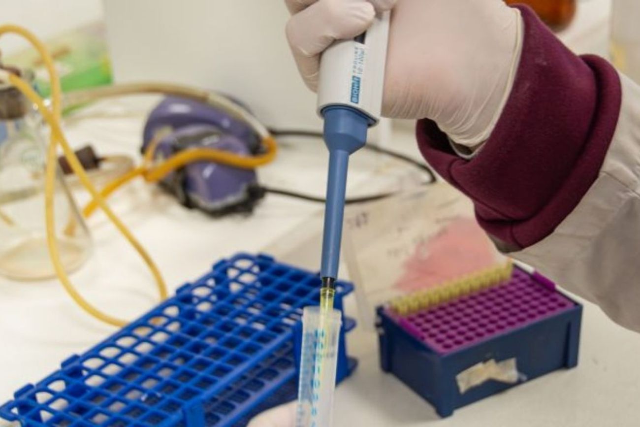 Científicos del Conicet demostraron, en modelos de laboratorio, que medicamentos antihipertensivos podrían constituir una estrategia para el tratamiento del dolor crónico.