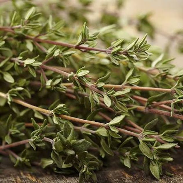 Ni albahaca ni cilantro: las aromáticas ideales para cultivar durante el invierno.