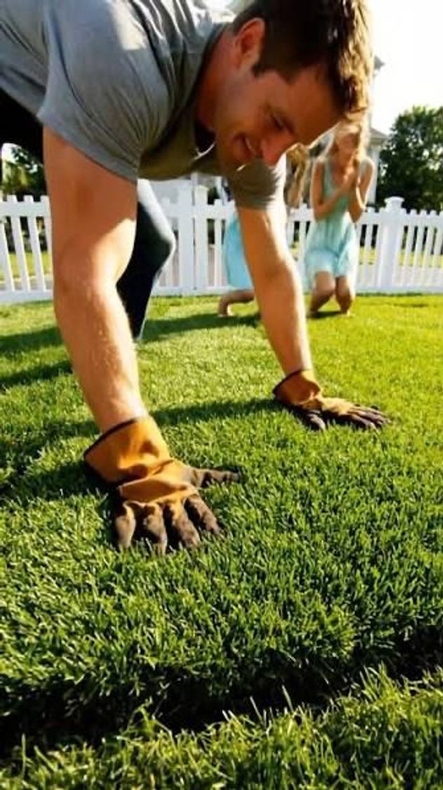 Qué es el césped líquido y por qué cada vez más argentinos lo eligen para sus jardines.