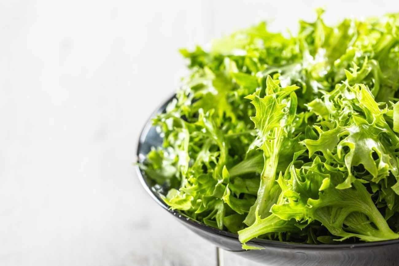 Estos son los beneficios para tu salud de comer escarola, tan típica de los meses de frío. 