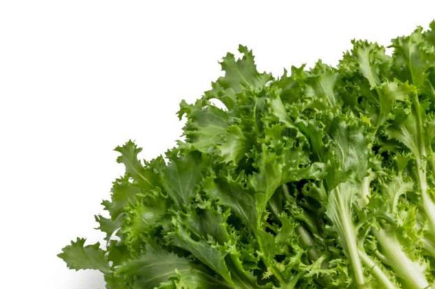 Estos son los beneficios para tu salud de comer escarola, tan típica de los meses de frío. 