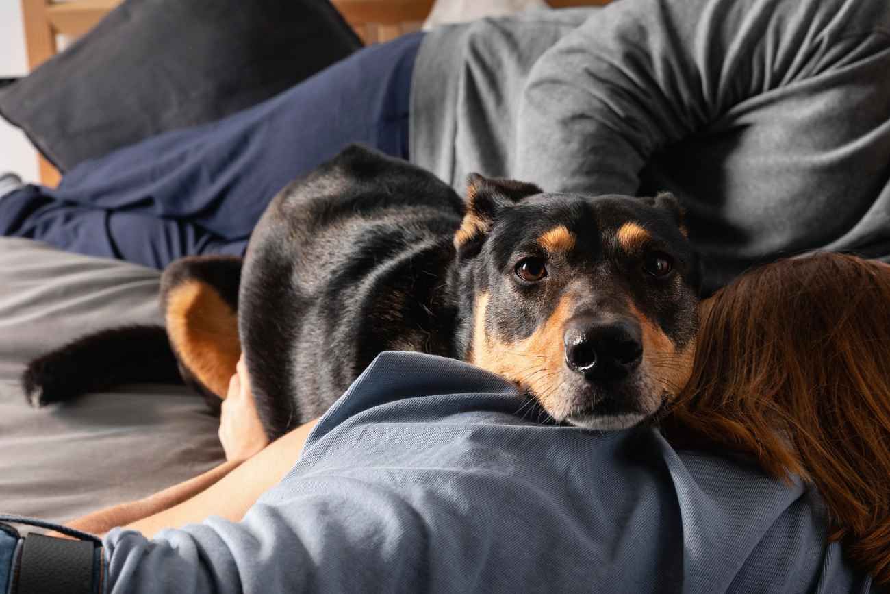 Las consecuencias para los jóvenes de dormir con sus mascotas. 