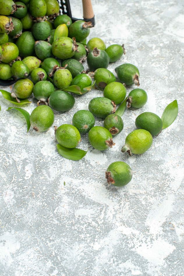 Feijoa, también conocida como guayabo, guayaba, guayabo del Brasil, guayabo del país, goiabeira serrana, goiabeira do mato o goiaba do campo. 