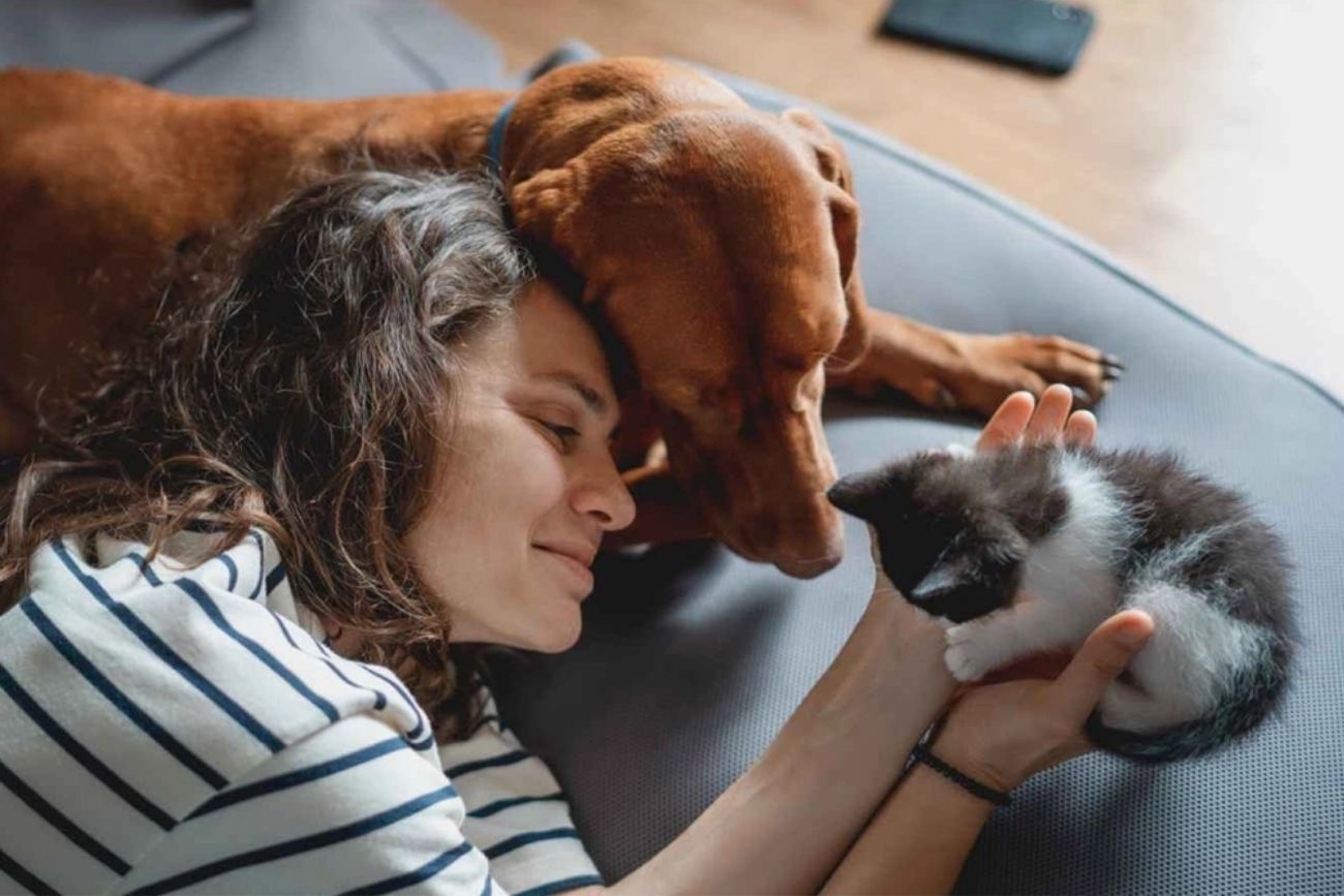 Según la psicología, las personas que viven solas deberían considerar esta mascota