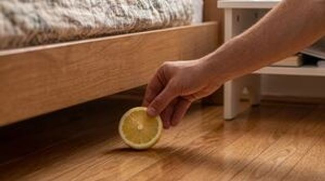 Qué significa poner un limón debajo de la cama, según el Feng Shui.