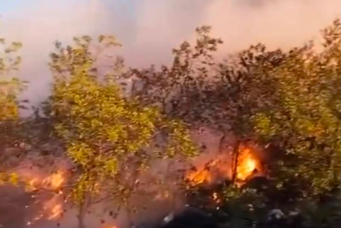 Alerta en Punilla: operativo de bomberos para combatir un incendio forestal en Casa Grande