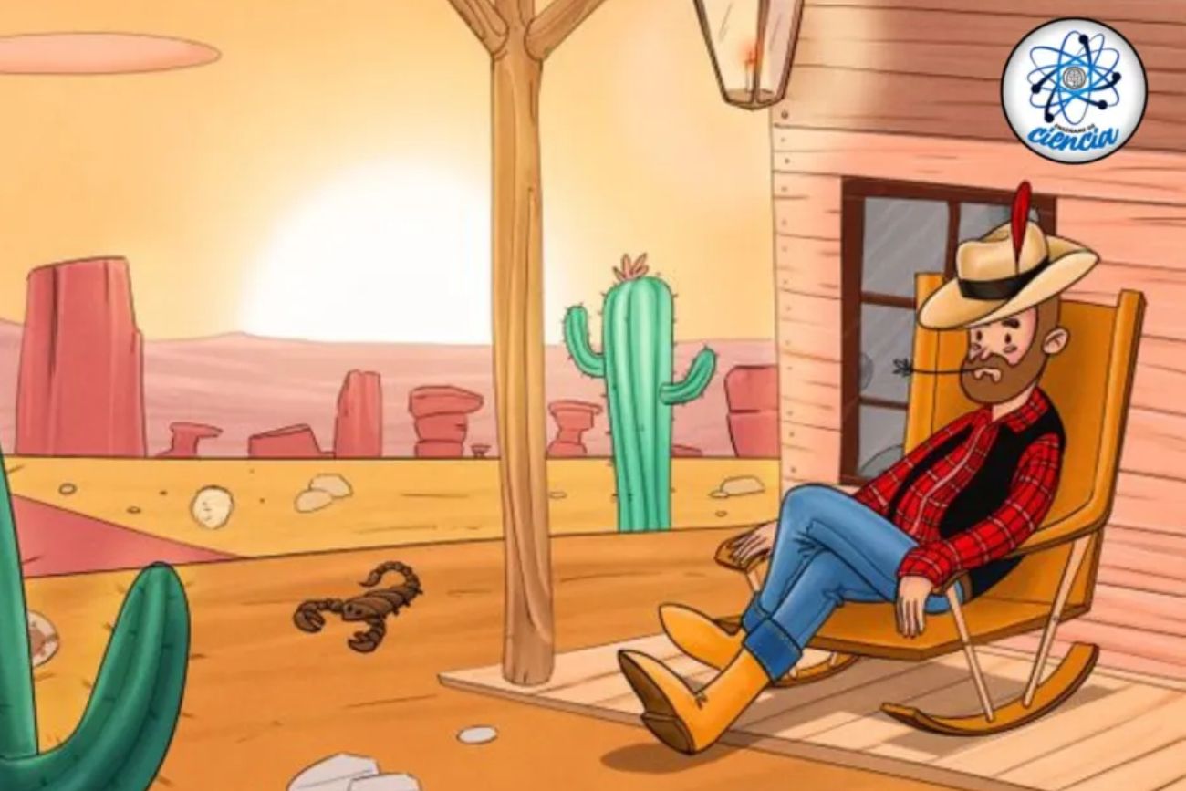 El acertijo visual.