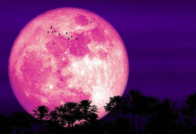 Luna de Fresa. Podrá verse en Argentina. Imagen ilustrativa.