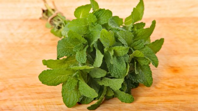 Ni limón ni bicarbonato: el secreto de las hojas de menta para quitar el mal olor del horno.