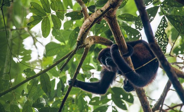 Costa Rica, un destino donde la naturaleza es desbordante y cercana.