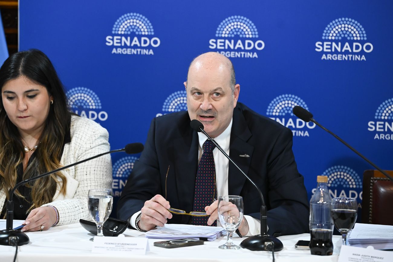 El ministro de Desregulación, Federico Sturzenegger, defendió la nueva Ley de Sociedades en el Senado
