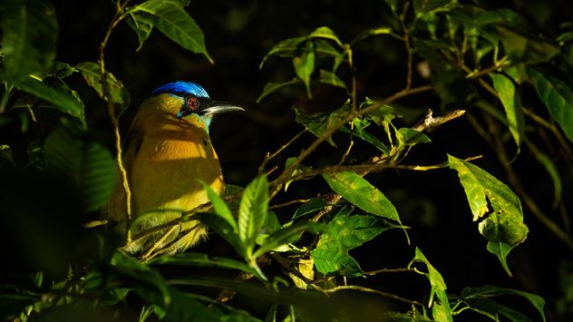 Costa Rica, un destino donde la naturaleza es desbordante y cercana.