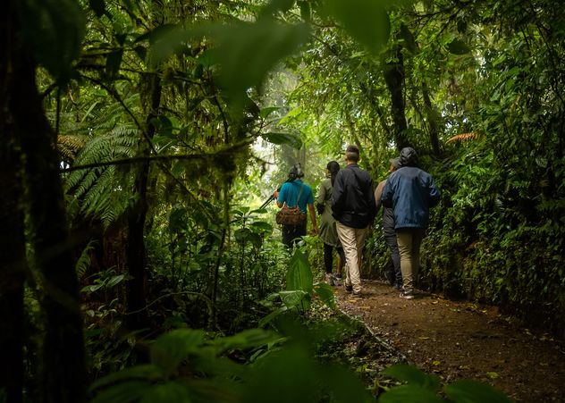 Costa Rica, un destino donde la naturaleza es desbordante y cercana.
