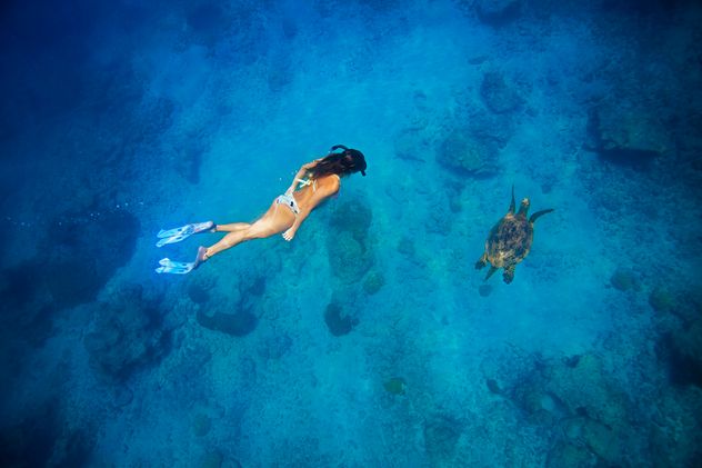 Costa Rica, un destino donde la naturaleza es desbordante y cercana.