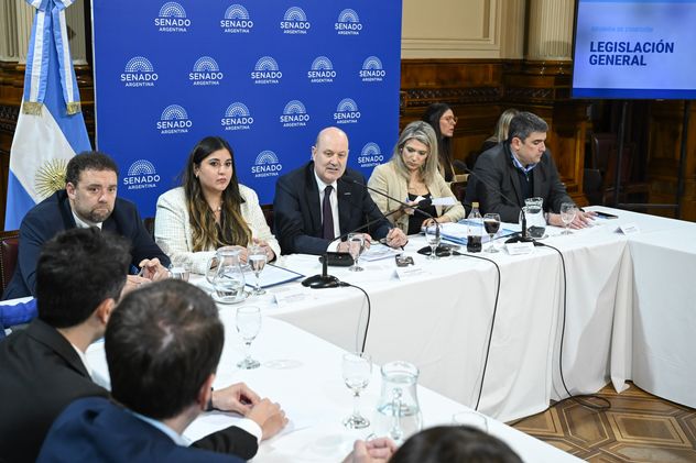 El ministro de Desregulación, Federico Sturzenegger, defendió la nueva Ley de Sociedades en el Senado