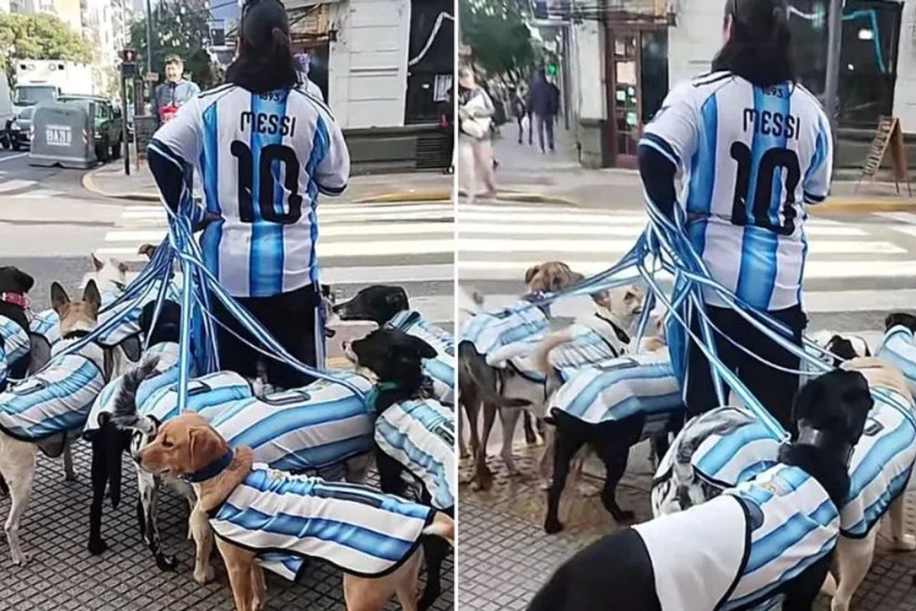 El hombre paseó a más de diez perros con camisetas celestes y blancas y conquistó las redes sociales en plena previa del Mundial.