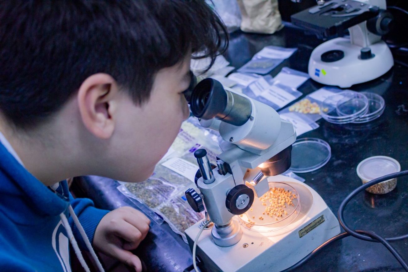 Vacaciones de invierno. La Facultad de Ciencias Químicas ofrece actividades para toda la familia.