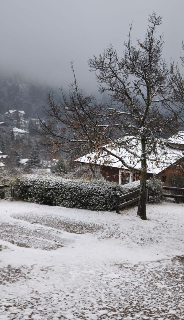 El aire polar trajo nieve a La Cumbrecita, Córdoba.