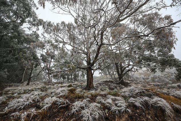 Ola de frío y nieve en La Falda.
