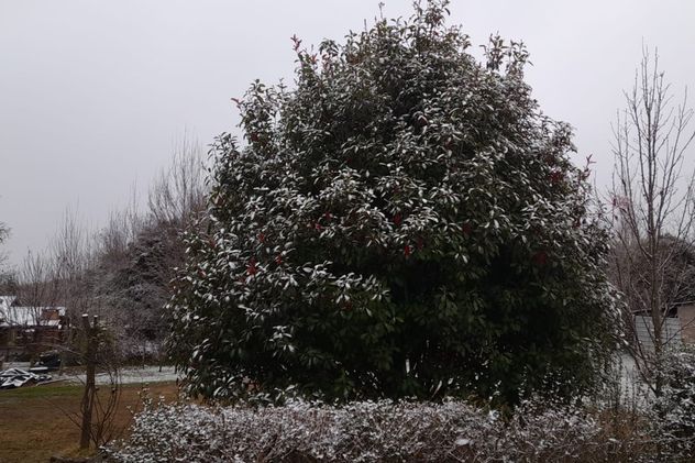 El aire polar trajo nieve a Villa Yacanto, Córdoba.
