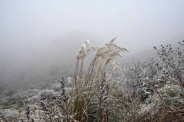 Ola de frío y nieve en La Falda.