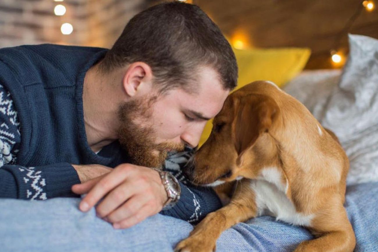 Esto pasa con tu perro si te ve de mejor ánimo o más feliz, según expertos
