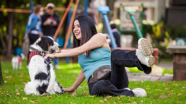 Un estudio del Instituto Max Planck encontró que los perros aprenden mejor y responden con mayor facilidad cuando perciben que sus dueños están felices.