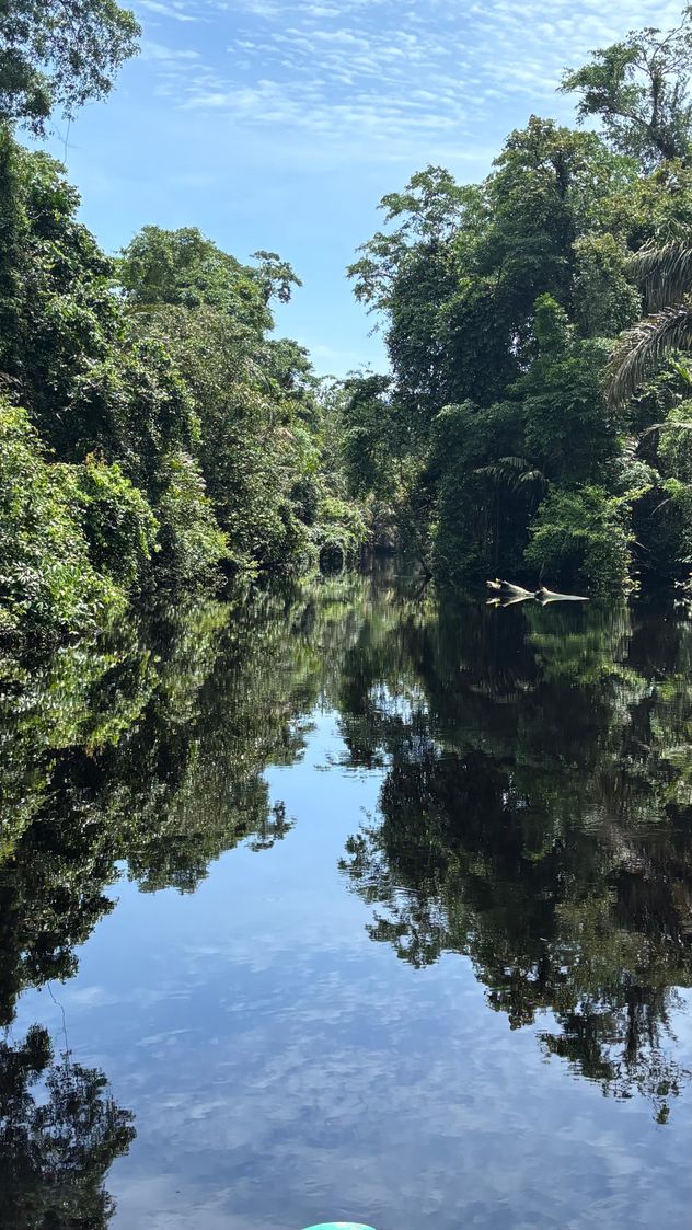 Parque Nacional Tortuguero, en Costa Rica. (LVI)