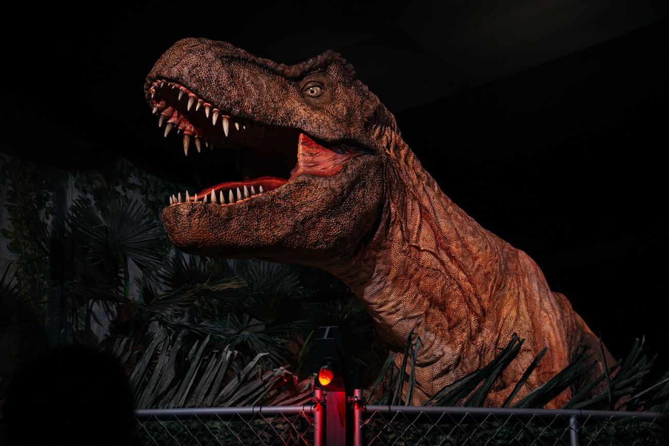 Réplica a escala real del Tiranosaurio Rex, conocido popularmente como "Rexy" en la franquicia cinematográfica, en "Jurassic World: The Experiencie".
