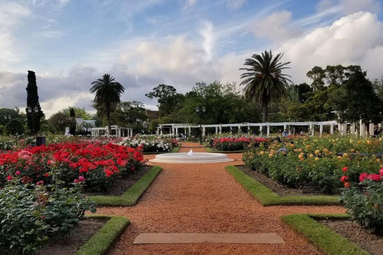 Cada invierno, el Rosedal de Palermo realiza la poda de sus rosales y entrega gratuitamente esquejes para que los vecinos puedan cultivarlos en sus hogares.