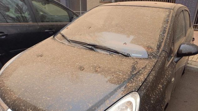 Para la psicología, el aspecto de un auto puede estar relacionado con hábitos y prioridades, pero no alcanza para definir la personalidad de una persona.