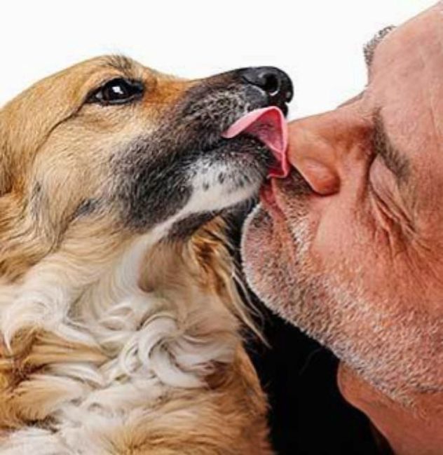 Qué significa que tu perro te toque con la nariz, según especialistas en comportamiento animal.