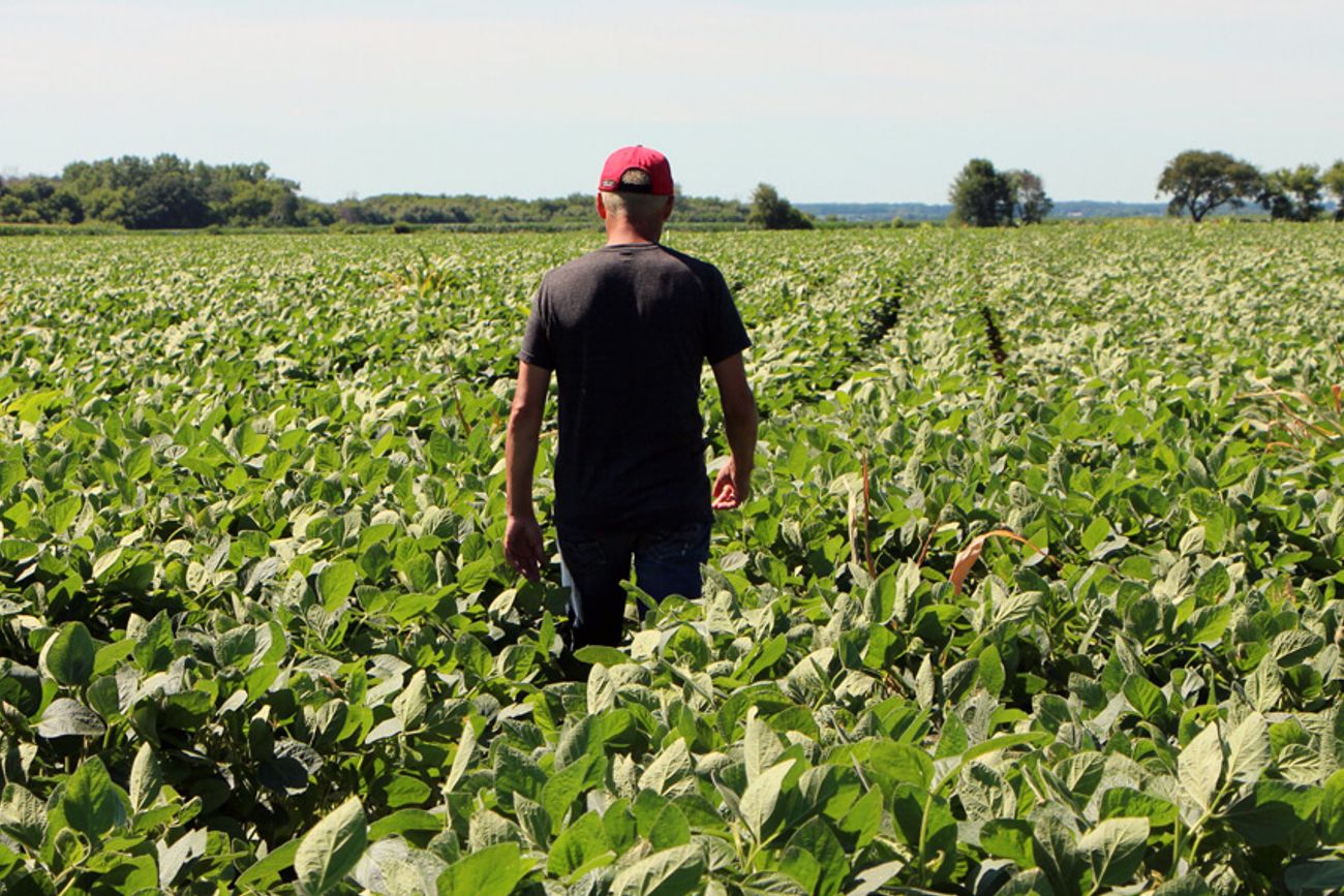 Oportunidades laborales en el agro: ¿qué perfiles buscan las empresas del sector?