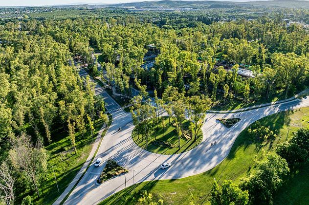A minutos de Córdoba, Nuevo Malagueño se despliega sobre un bosque de eucaliptos de 50 años.