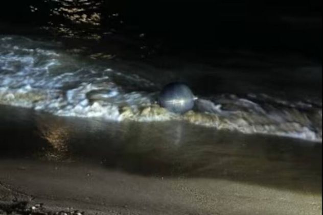 Aparecieron misteriosas esferas gigantes que aparecieron en una playa de Australia