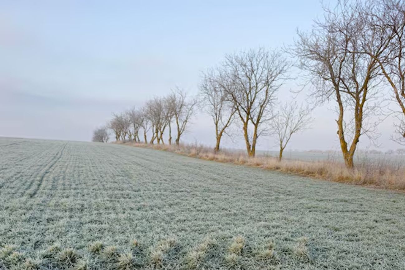 HELADAS. Calamuchita lideró el ranking de este lunes con los dos lugares más fríos de la jornada con Los Reartes y Río de la Cruz-Paso Cabral,  -7,7°C y -6,8°C, respectivamente.