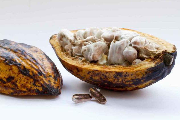 Día mundial del cacao.