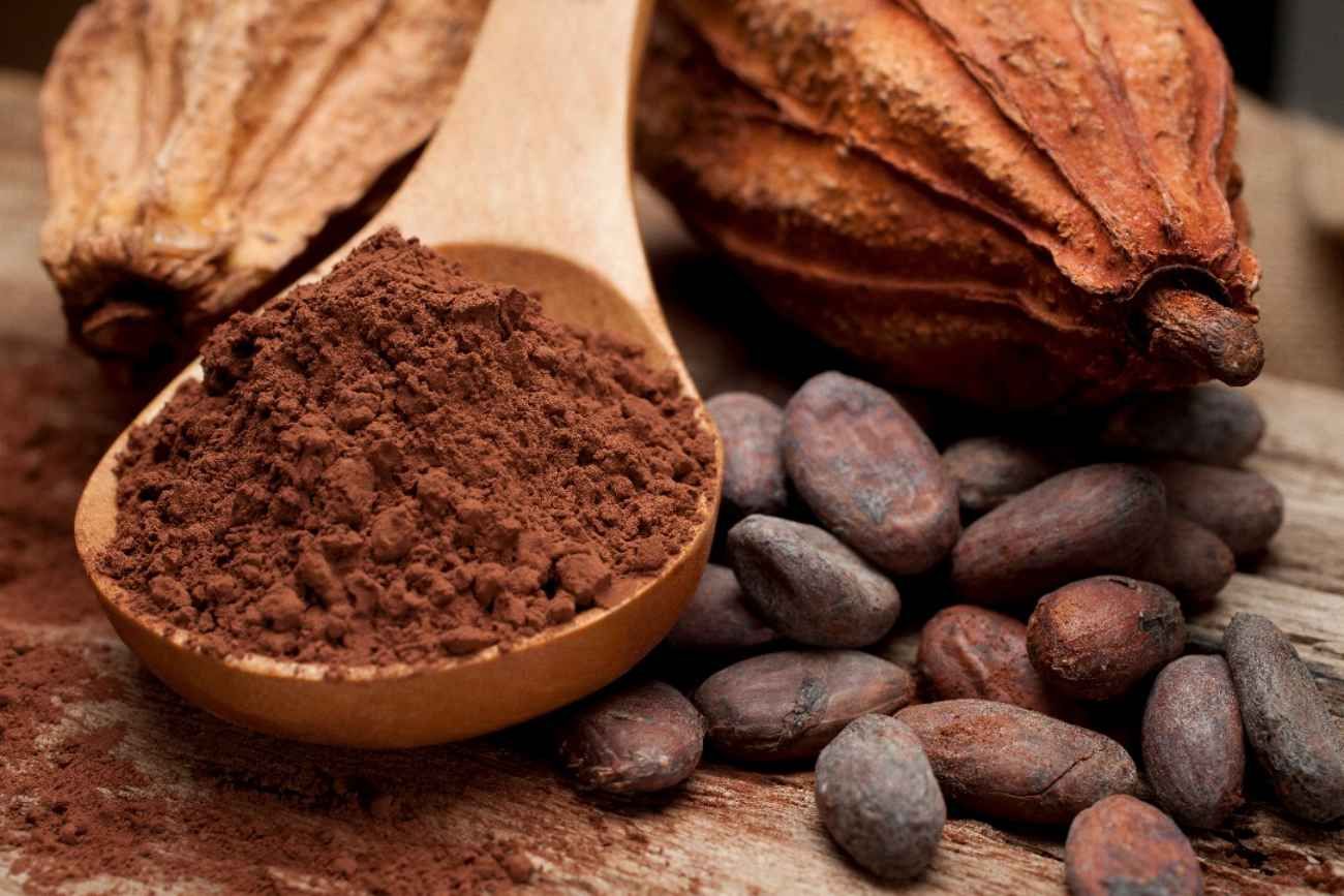 Día mundial del cacao. 