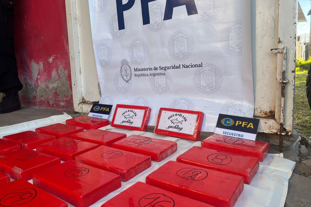 La droga secuestrada. (PFA)