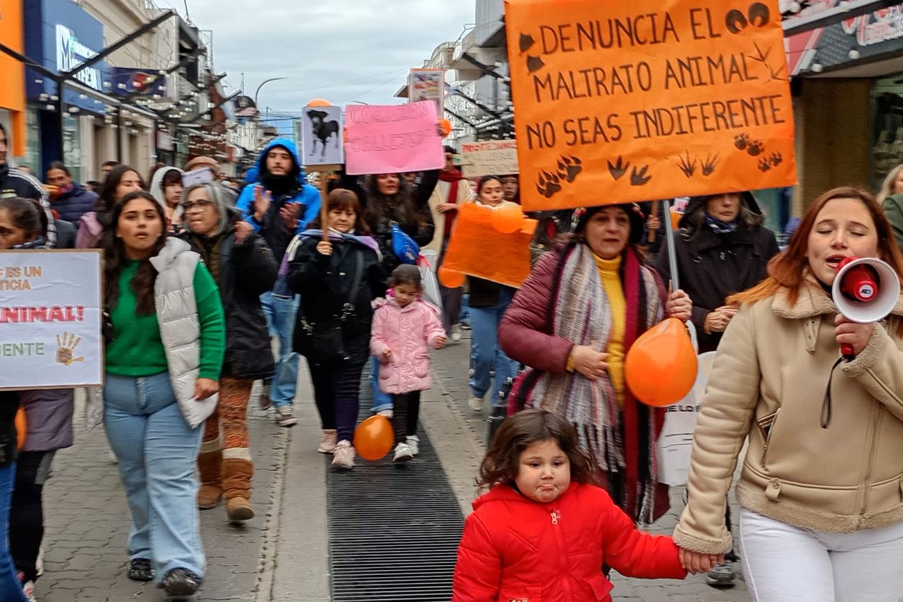 Marcha en Villa Dolores por los derechos de los animales.