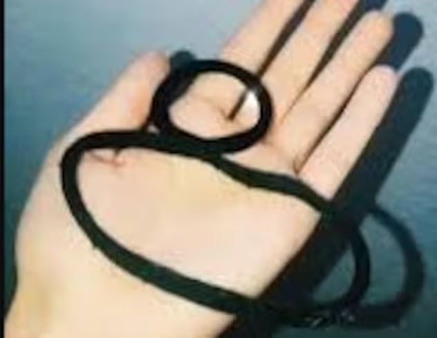 No las tires: el truco casero para recuperar las colitas de pelo estiradas en pocos minutos.