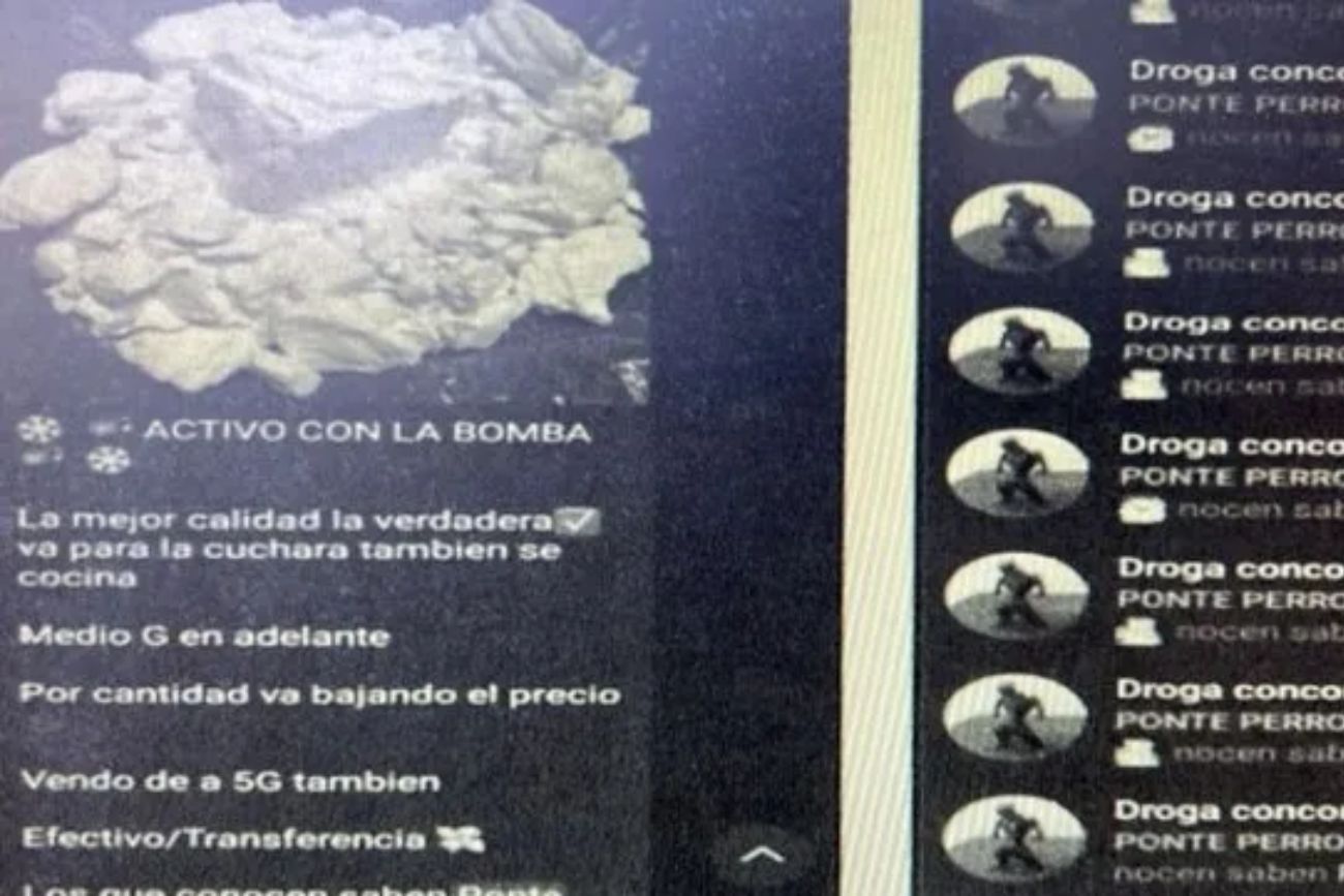 Desbarataron una red de narcotráfico por Telegram: ocho jóvenes procesados