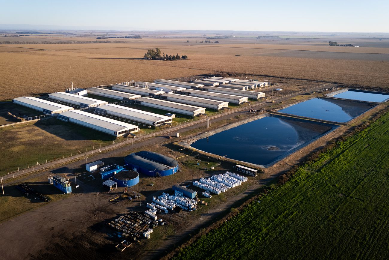 MODELO SUSTENTABLE. Al fondo, la granja porcina de la cooperativa Cotagro y adelante, el biodigestor de la empresa 3C Biogás que produce energía eléctrica a partir de residuos orgánicos en General Cabrera.