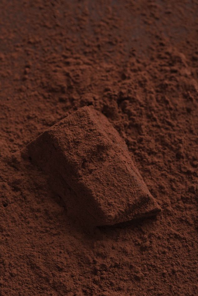 Día mundial del cacao.